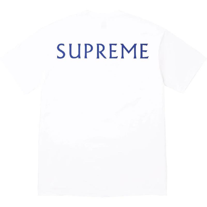 �礭�������� ��� Supreme ����ץ꡼�� Damien Hirst Tee Ⱦµ T����� XXL