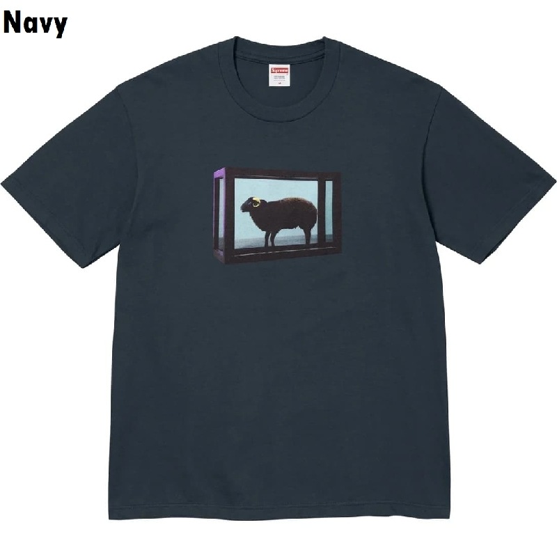 �礭�������� ��� Supreme ����ץ꡼�� Damien Hirst Tee Ⱦµ T����� XXL