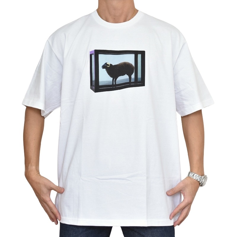 �礭�������� ��� Supreme ����ץ꡼�� Damien Hirst Tee Ⱦµ T����� XXL