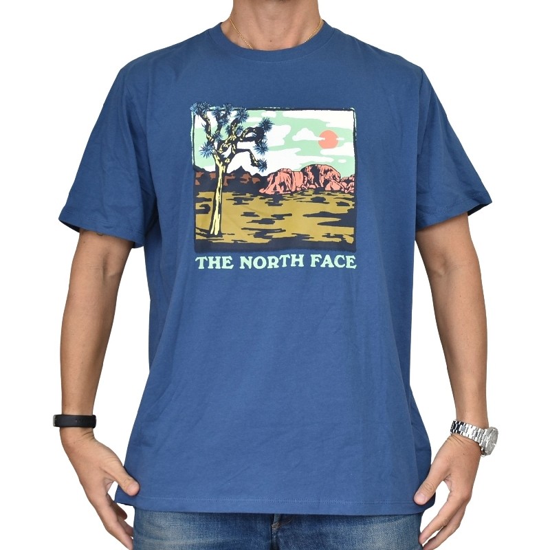 �礭�������� ��� �Ρ����ե����� Ⱦµ �ԥ���� �ץ��� USA��ǥ� THE NORTH FACE S/S NOVELTY GRAPHIC TEE XL XXL