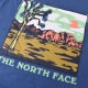 �礭�������� ��� �Ρ����ե����� Ⱦµ �ԥ���� �ץ��� USA��ǥ� THE NORTH FACE S/S NOVELTY GRAPHIC TEE XL XXL