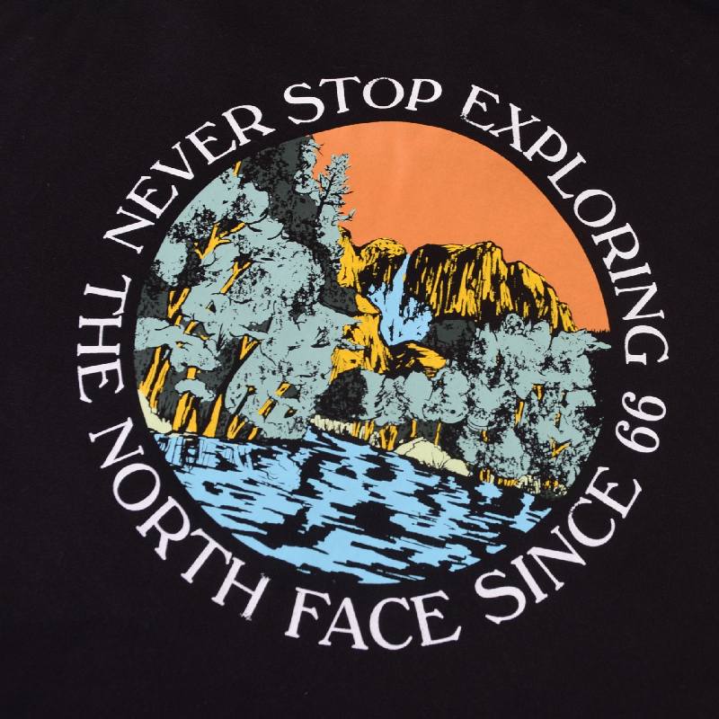 ��SALE�� �礭�������� ��� �Ρ����ե����� �ץ륪���С� �ѡ����� �Хå��ץ��� �� �֥�å� �֥롼 �衼���åѥ�ǥ� THE NORTH FACE SEASONAL GRAPHIC HOODIE XL XXL