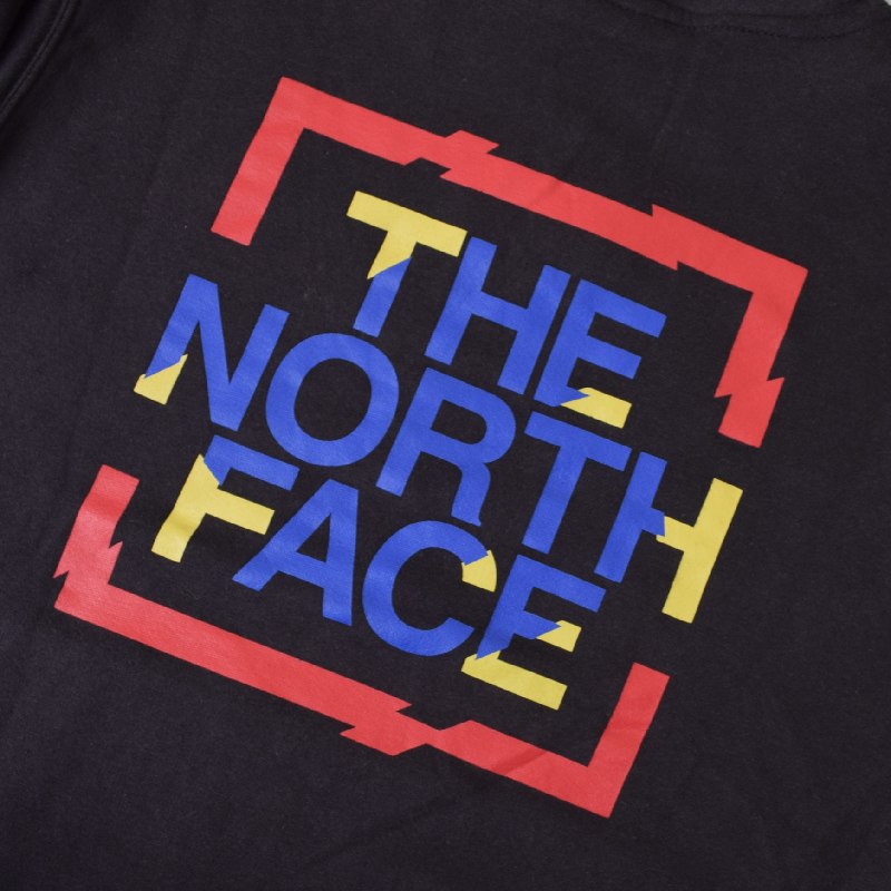 ��SALE�� �礭�������� ��� �Ρ����ե����� THE NORTH FACE �ץ륪���С� �ѡ����� ΢���ӥ������å� NOVELTY GRAPHIC PULLOVER HOODY USA��ǥ� XL XXL