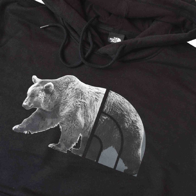��SALE�� �礭�������� ��� �Ρ����ե����� THE NORTH FACE �ץ륪���С� �ѡ����� ΢���� �������å� �ա��ǥ��� �٥��� ���졼 �� �֥�å� TNF BEAR PULLOVER HOODIE USA��ǥ� XL XXL XXXL