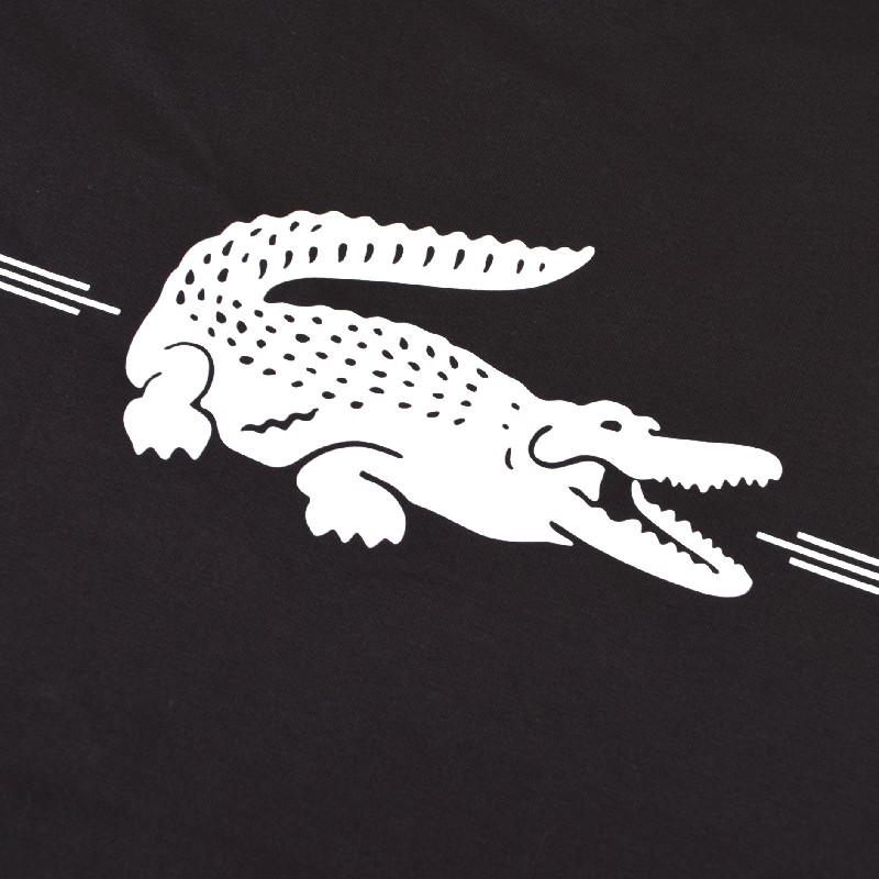 �礭�������� ��� Lacoste �饳���� ���롼�ͥå� Ⱦµ�ԥ���� �֥�å� �� �ͥ��ӡ� �� ���꡼�� CLASSIC FIT XXL XXXL XXXXL