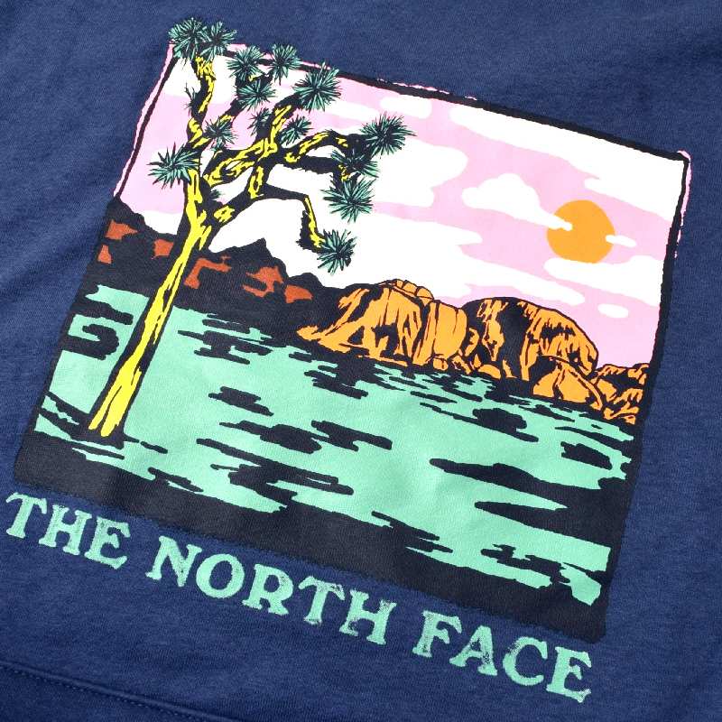 ��SALE�� �礭�������� ��� �Ρ����ե����� THE NORTH FACE �ץ륪���С� �ѡ����� ΢���� �������å� �ա��ǥ��� �� �ͥ��ӡ��֥롼 GRAPHIC INJECTION HOODIE USA��ǥ� XL XXL XXXL