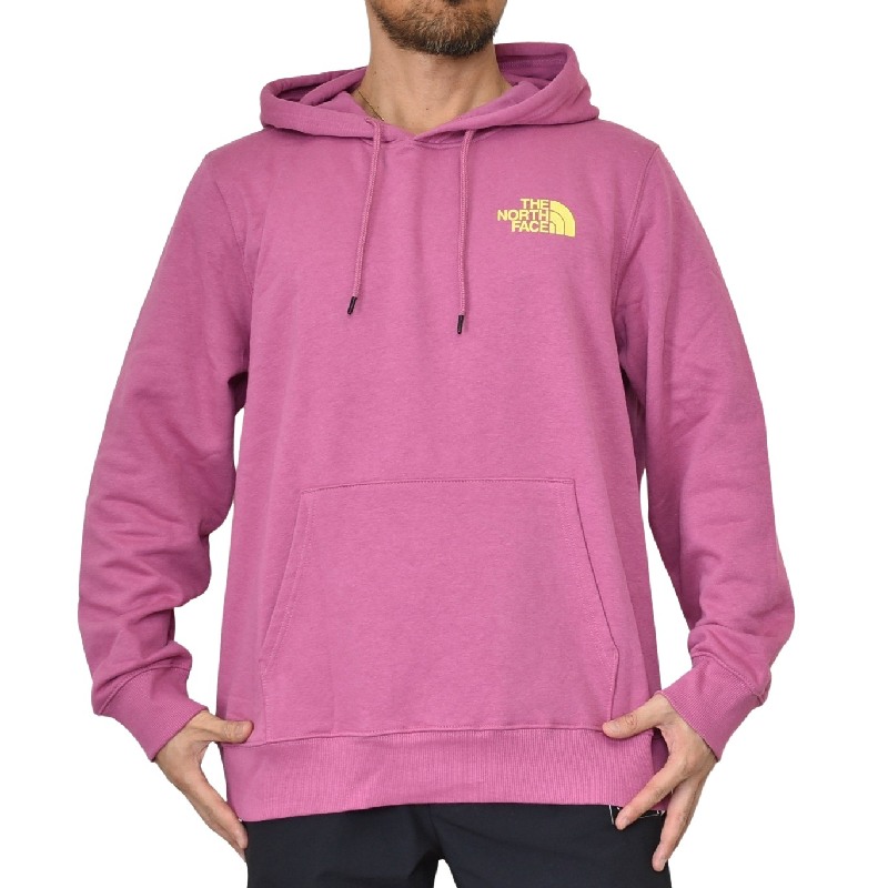 ��SALE�� �礭�������� ��� �Ρ����ե����� THE NORTH FACE �ץ륪���С� �ѡ����� ΢���� �������å� �ա��ǥ��� �ԥ󥯥�å� GRAPHIC INJECTION HOODIE USA��ǥ� XL XXL XXXL