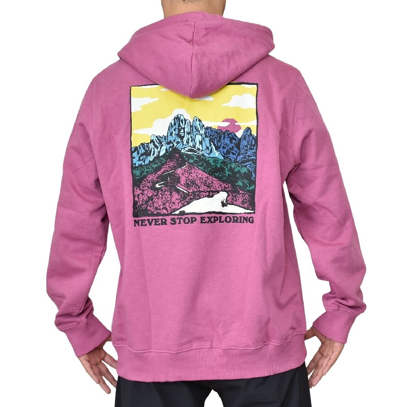 ��SALE�� �礭�������� ��� �Ρ����ե����� THE NORTH FACE �ץ륪���С� �ѡ����� ΢���� �������å� �ա��ǥ��� �ԥ󥯥�å� GRAPHIC INJECTION HOODIE USA��ǥ� XL XXL XXXL