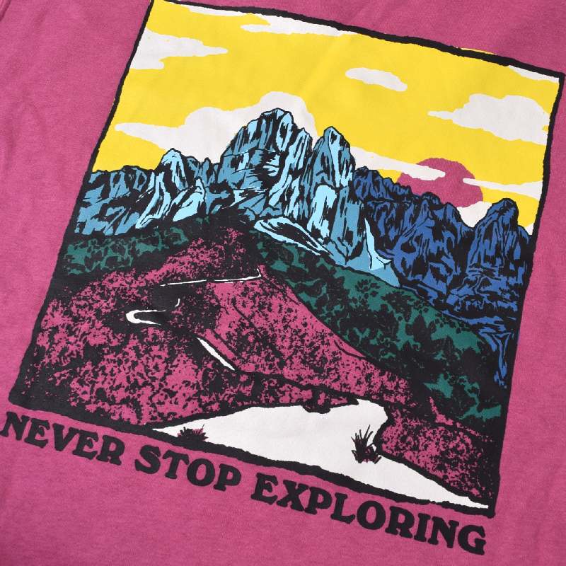 ��SALE�� �礭�������� ��� �Ρ����ե����� THE NORTH FACE �ץ륪���С� �ѡ����� ΢���� �������å� �ա��ǥ��� �ԥ󥯥�å� GRAPHIC INJECTION HOODIE USA��ǥ� XL XXL XXXL