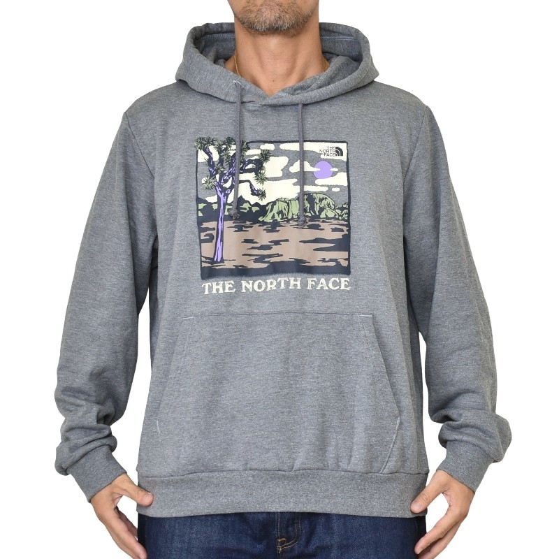 �礭�������� ��� �Ρ����ե����� �ץ륪���С� �ѡ����� �������å� �ա��ǥ��� USA��ǥ� THE NORTH FACE EVOLUTION DESERT HOODIE XL XXL