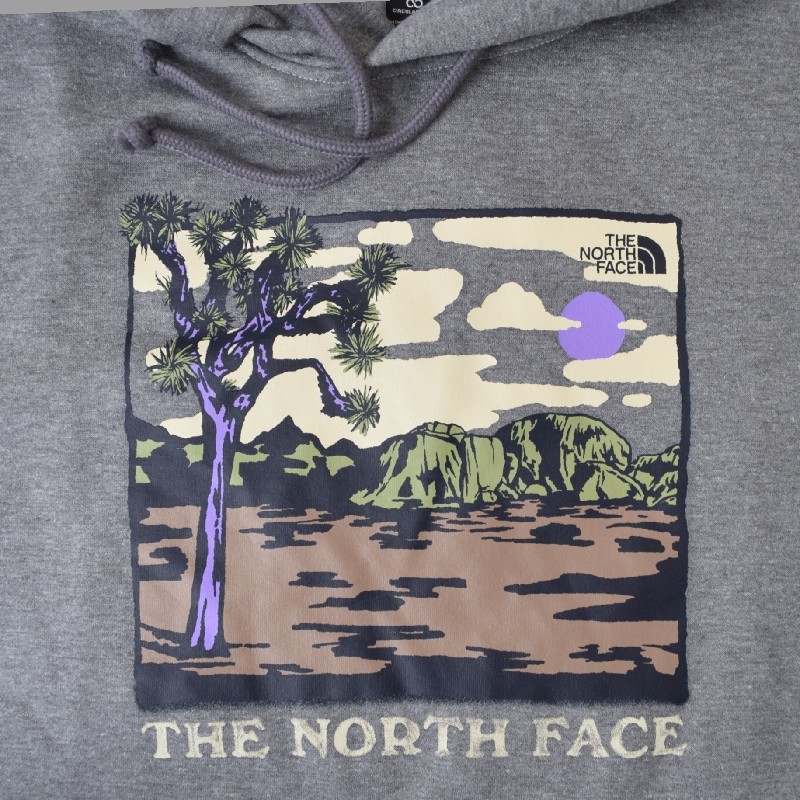 �礭�������� ��� �Ρ����ե����� �ץ륪���С� �ѡ����� �������å� �ա��ǥ��� USA��ǥ� THE NORTH FACE EVOLUTION DESERT HOODIE XL XXL