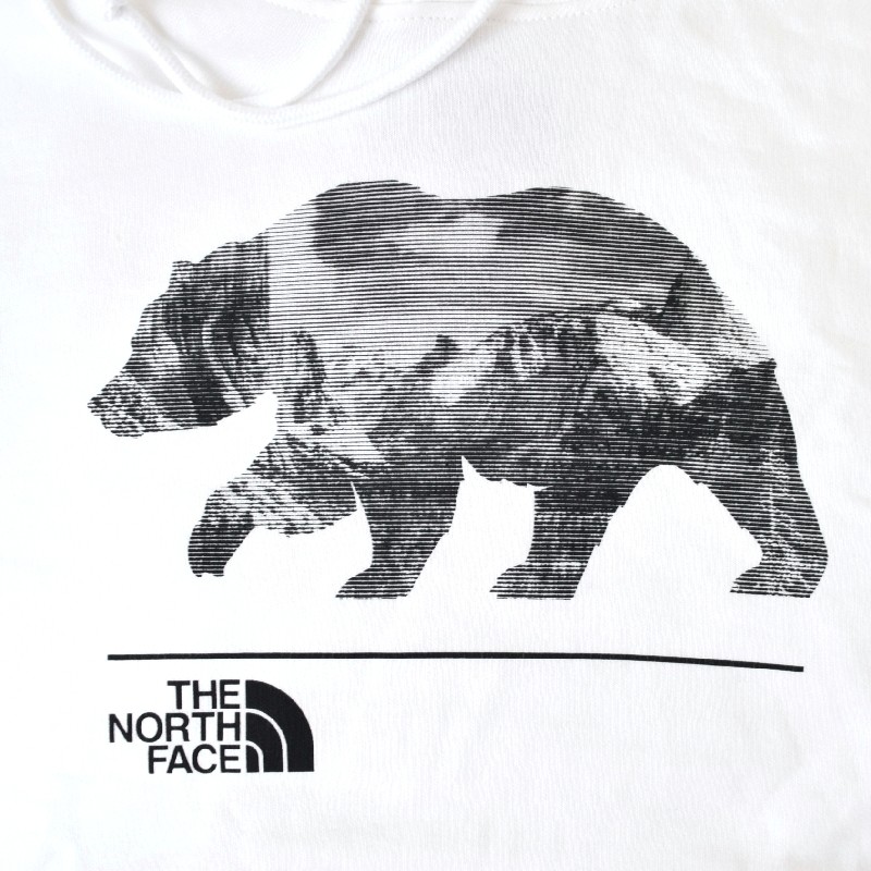 �礭�������� ��� �Ρ����ե����� �ץ륪���С� �ѡ����� �������å� �ա��ǥ��� USA��ǥ� THE NORTH FACE EVOLUTION MNT BEAR HOODIE XXL