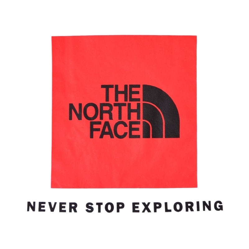 �礭�������� ��� �Ρ����ե����� THE NORTH FACE Ⱦµ �ܥå������� �ԥ���� EVOLUTION BOX NEVER STOP EXPLORING REGULAR S/S TEE �� �� �衼���åѥ饤�� L XL XXL 