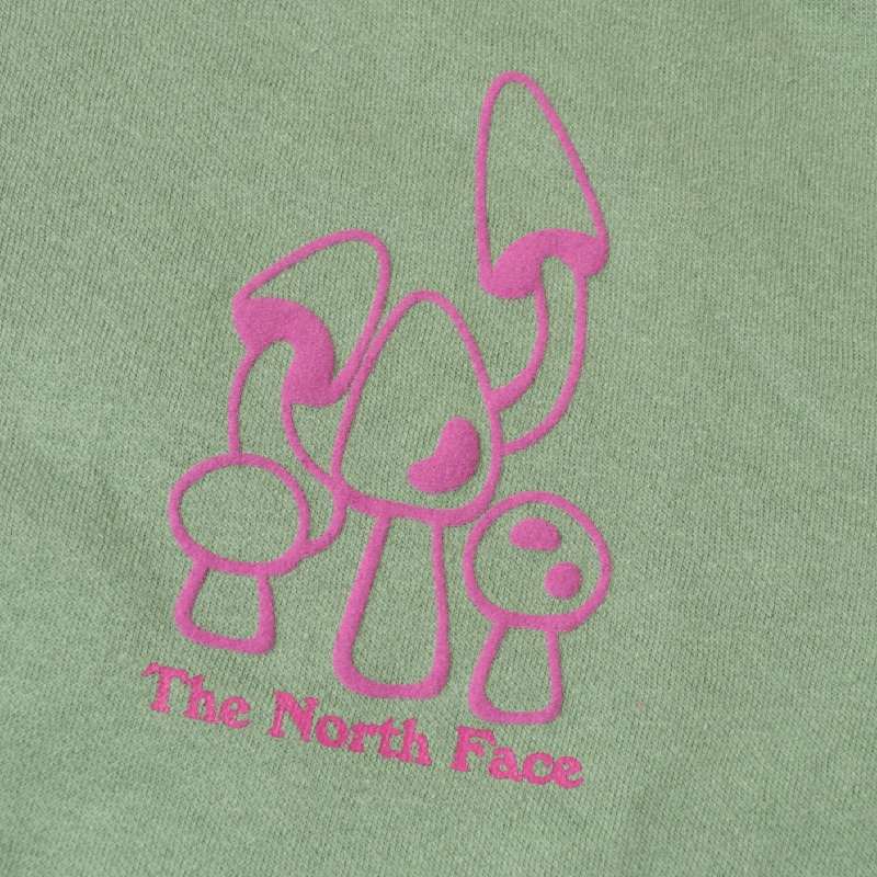 ��SALE���礭�������� ��� �Ρ����ե����� THE NORTH FACE �������åȥ���� ���롼�ͥå� �ȥ졼�ʡ� PLACES WE LOVE CREW ΢���� USA��ǥ� XL XXL XXXL