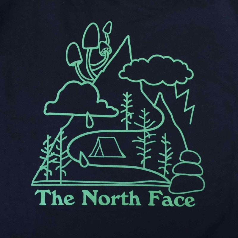 ��SALE���礭�������� ��� �Ρ����ե����� THE NORTH FACE �������åȥ���� ���롼�ͥå� �ȥ졼�ʡ� PLACES WE LOVE CREW ΢���� USA��ǥ� XL XXL XXXL