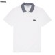 �礭�������� ��� LACOSTE �饳���� Ⱦµ�ݥ������ ���ݥ���� Contrast Neck Cotton Polo XXL XXXL XXXXL