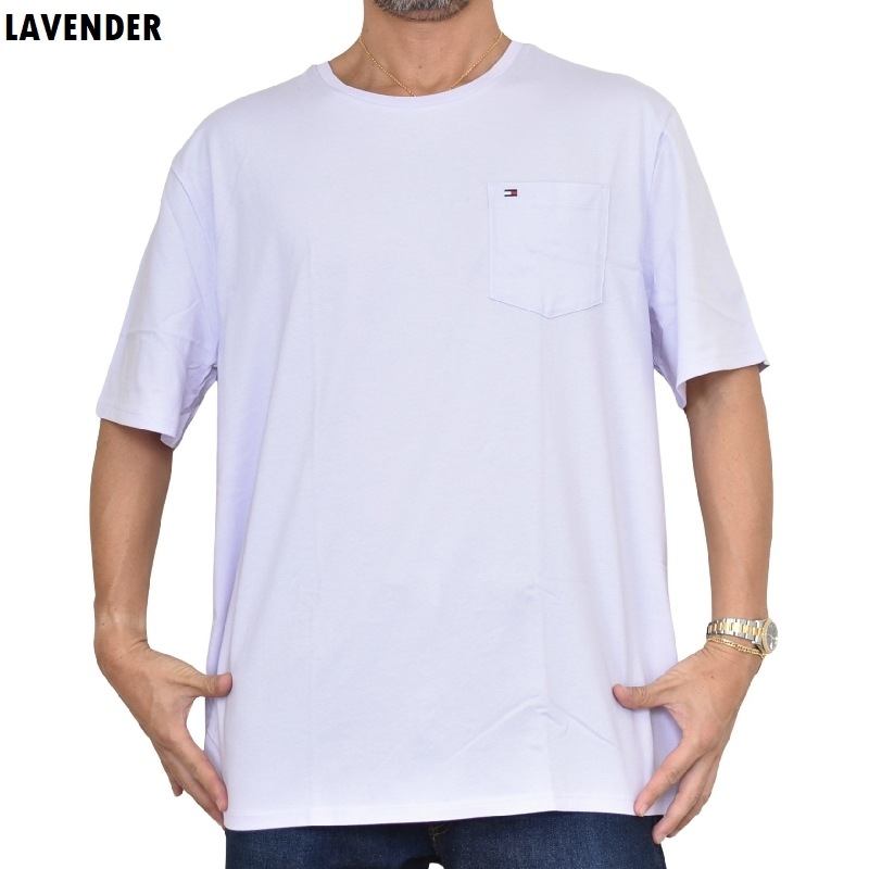 �礭����������� TOMMY HILFIGER �ȥߡ��ҥ�ե����� Ⱦµ�ԥ���� ���롼�ͥå� ���ݥ���Ȼɽ� ���ݥ��å� XXL 