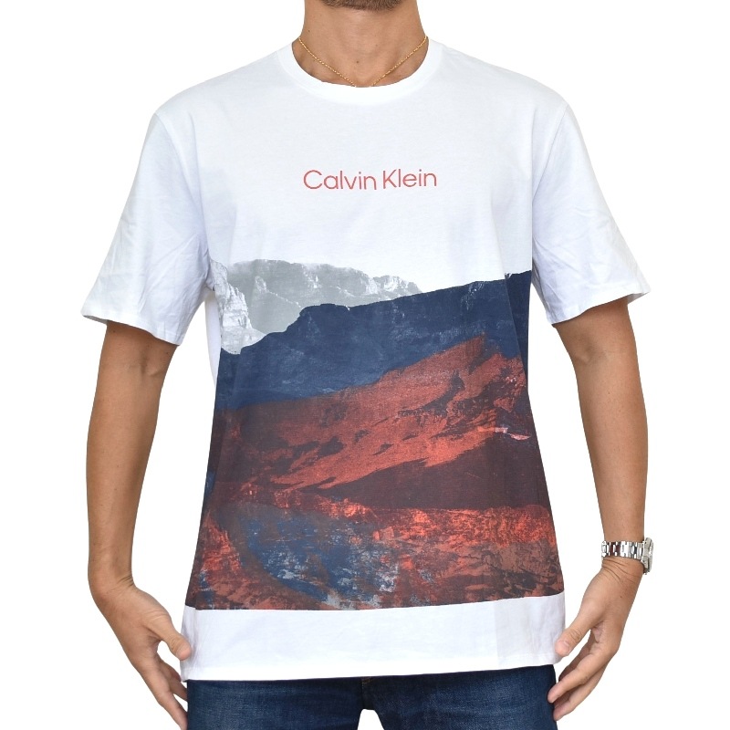 �礭�������� ��� CK ����Х󥯥饤�� Calvin Klein ���롼�ͥå� Ⱦµ�ԥ���� �����ץ��� �� �ۥ磻�� XL [M�� 1/1]