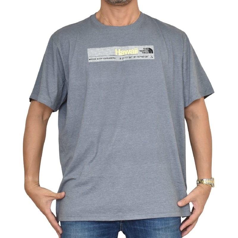 �礭�������� ��� �Ρ����ե����� THE NORTH FACE Ⱦµ �ԥ���� �Хå��ץ��� S/S CITY TEE HAWAII NEWYORK USA��ǥ� XXL