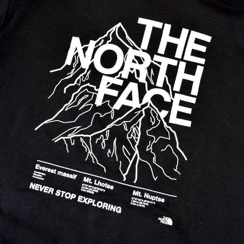 礭  Ρե ץ륪С ѡ å աǥ USAǥ THE NORTH FACE NOVELTY GRAPHIC HOODIE L XL XXL