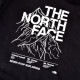礭  Ρե ץ륪С ѡ å աǥ USAǥ THE NORTH FACE NOVELTY GRAPHIC HOODIE L XL XXL