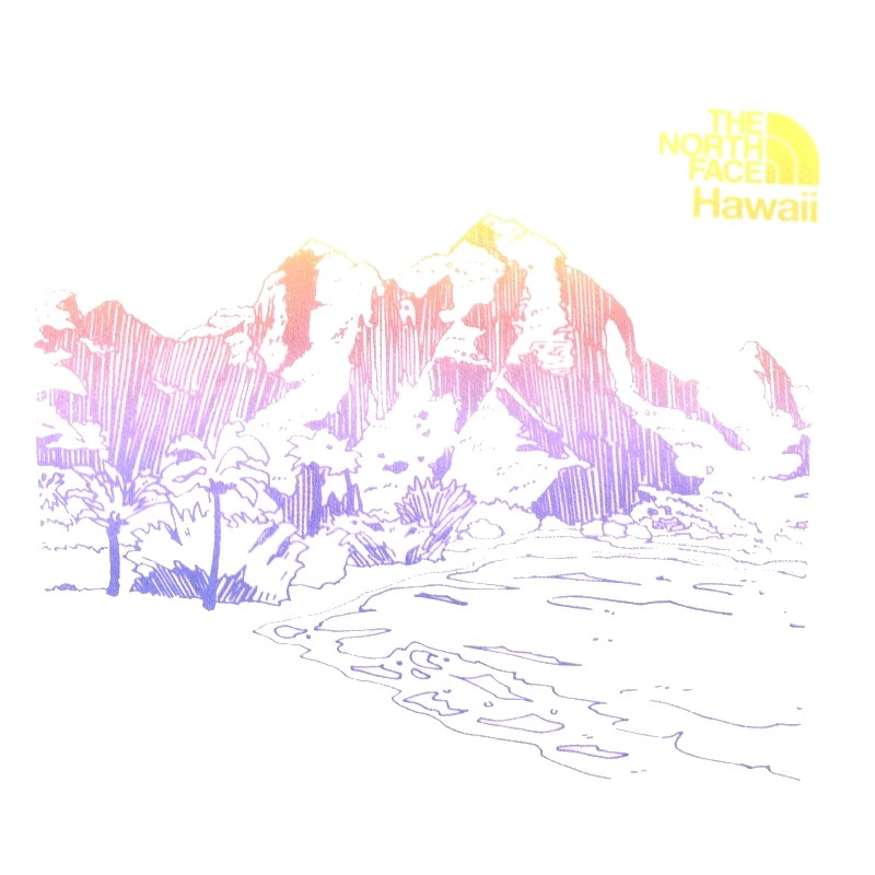 礭  Ρե 롼ͥå åȥ ȥ졼ʡ USAǥ THE NORTH FACE SOUVENIR CREW XL XXL