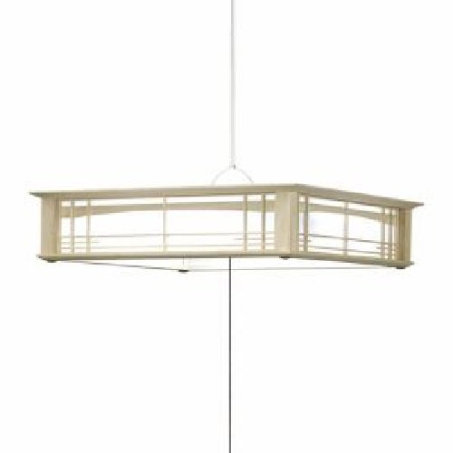 GVNR12904