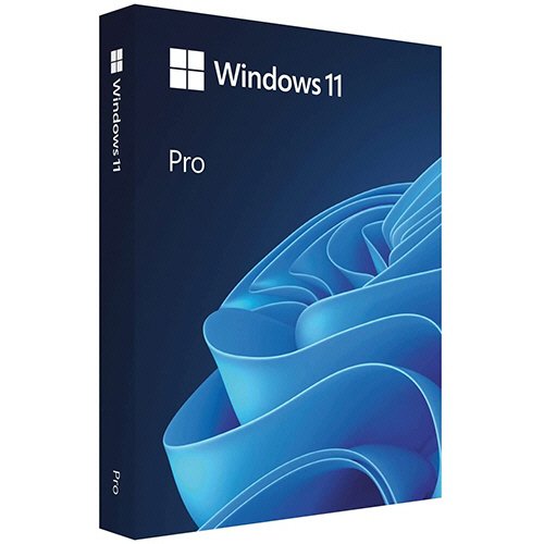 Windows 11 Pro ���{���