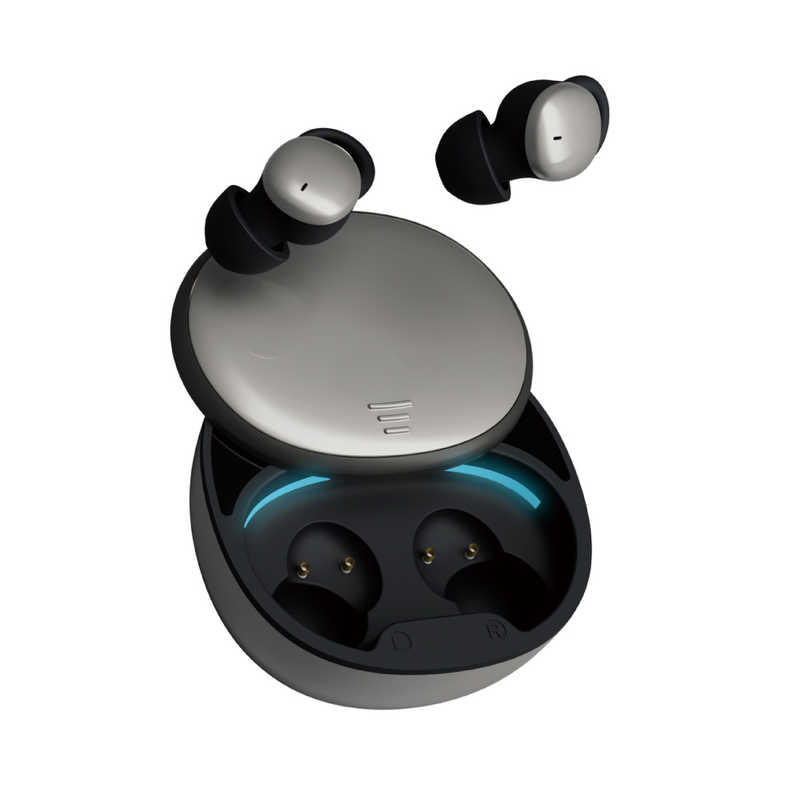 GH-TWEA-SV [�V���o�[]