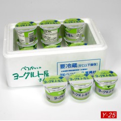 �٤Ĥ����Υ衼����Ȳ�����Y-25