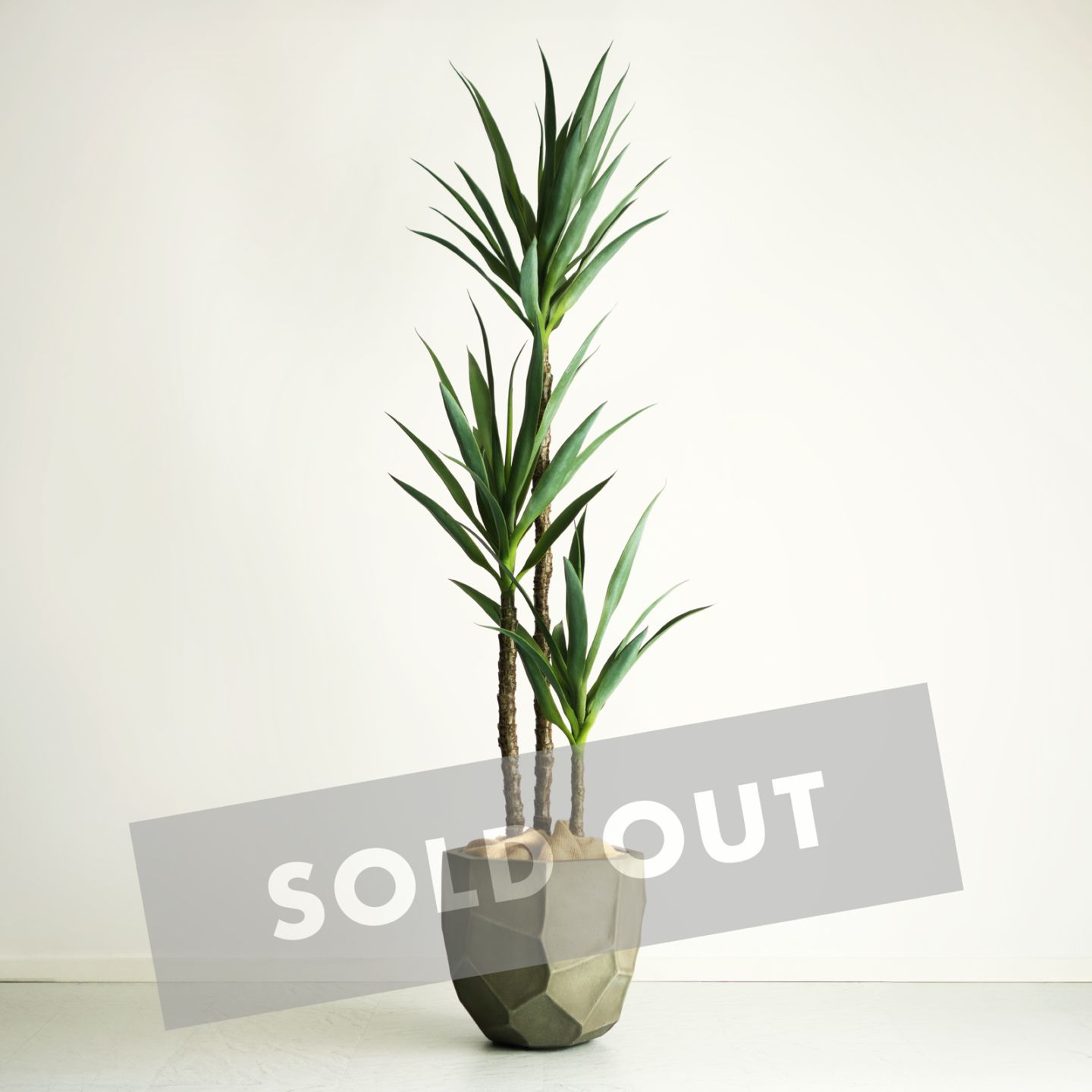 ユッカ・エレファンティペス H150cm｜フェイクグリーンならデコレラ