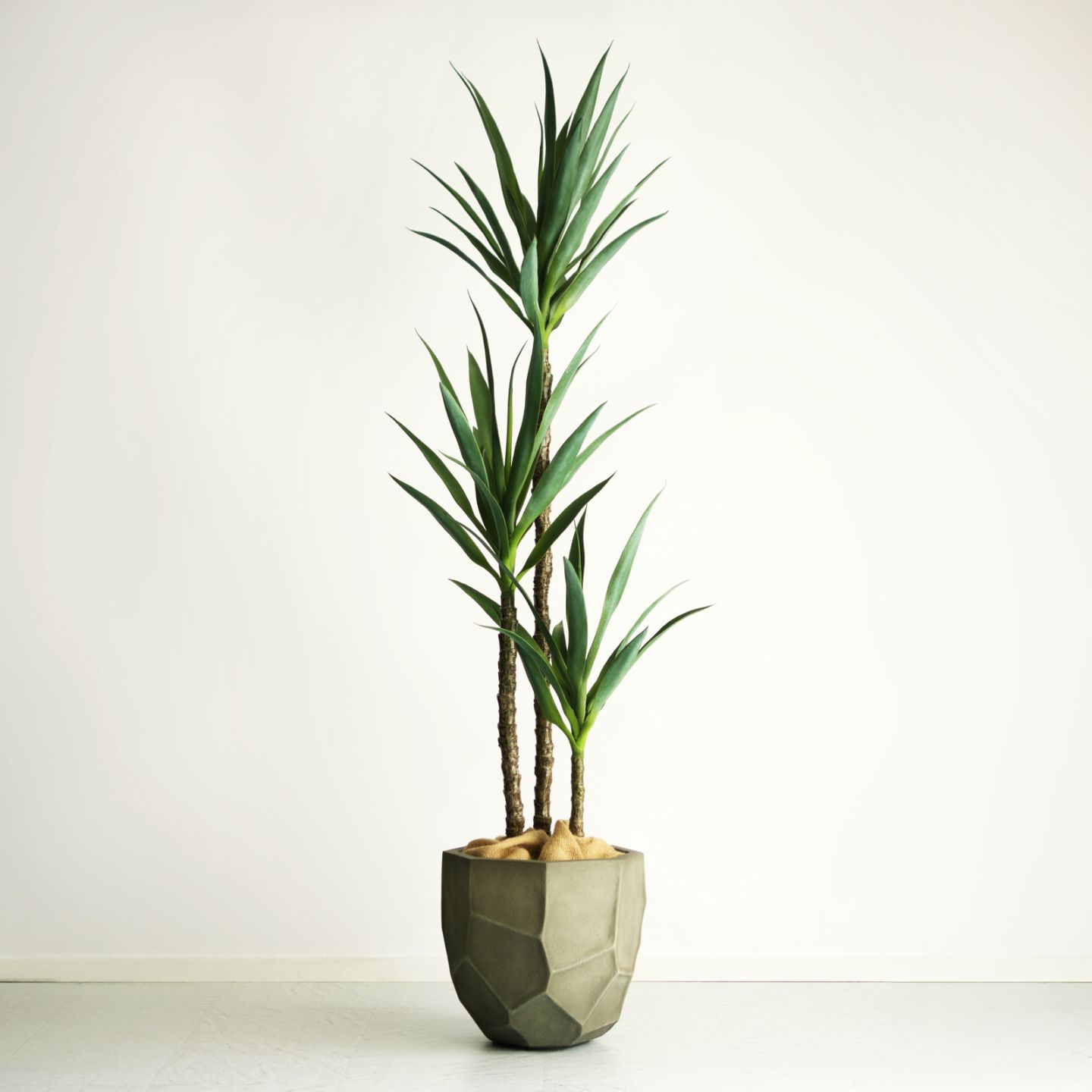 ユッカ・エレファンティペス H150cm｜フェイクグリーンならデコレラ