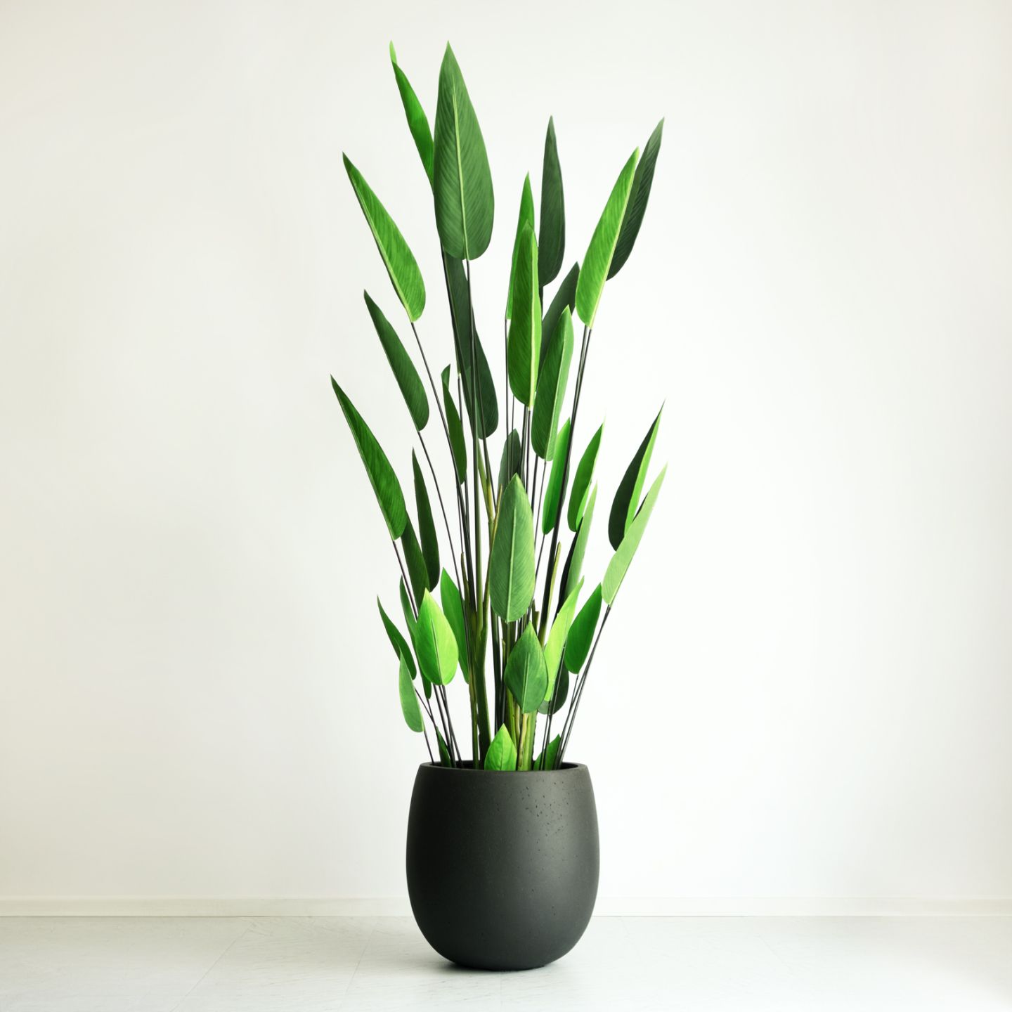 カテゴリで選ぶ,観葉植物 | フェイクグリーン専門通販 DEKORERA