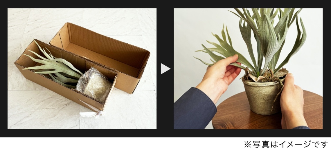 モンステラ H180cm｜フェイクグリーンならデコレラ公式通販