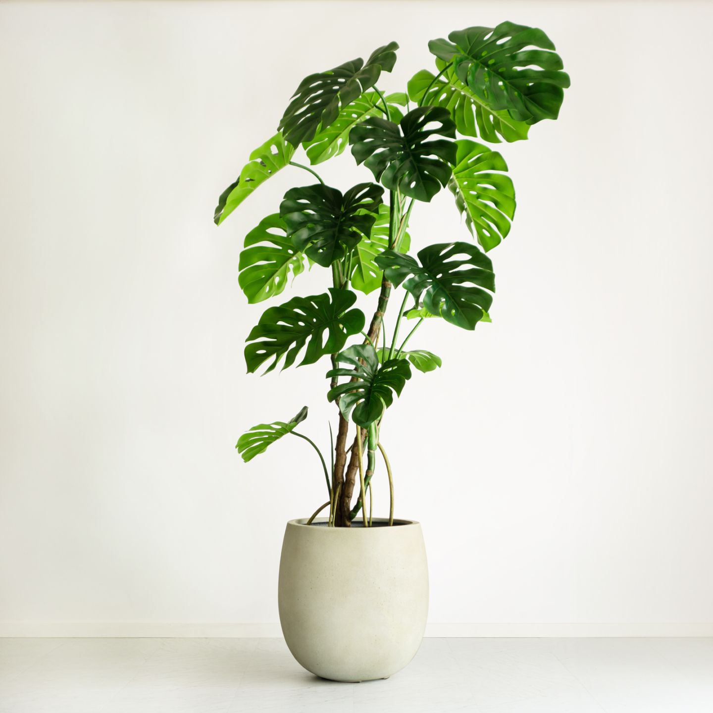 モンステラ H180cm｜フェイクグリーンならデコレラ公式通販