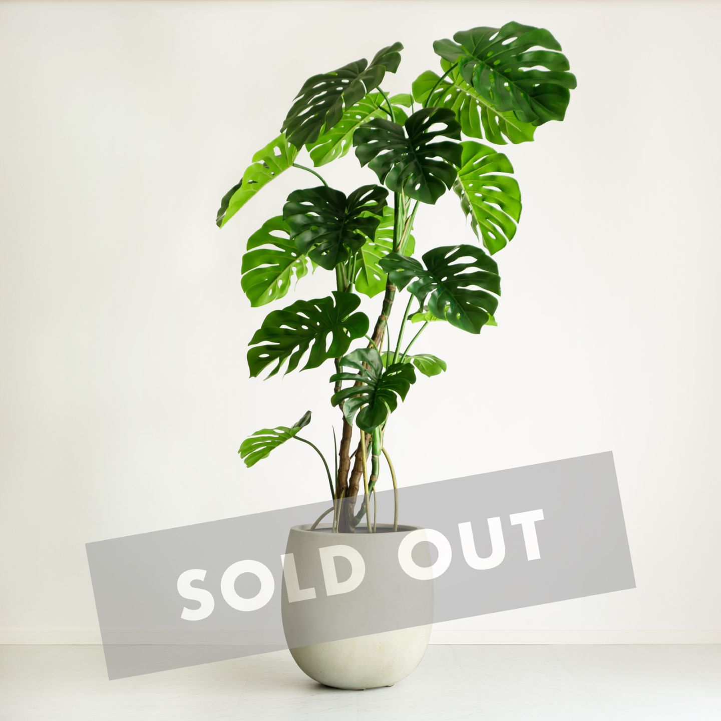 モンステラ　茎太 モンステラ H180cm｜フェイクグリーンならデコレラ公式通販