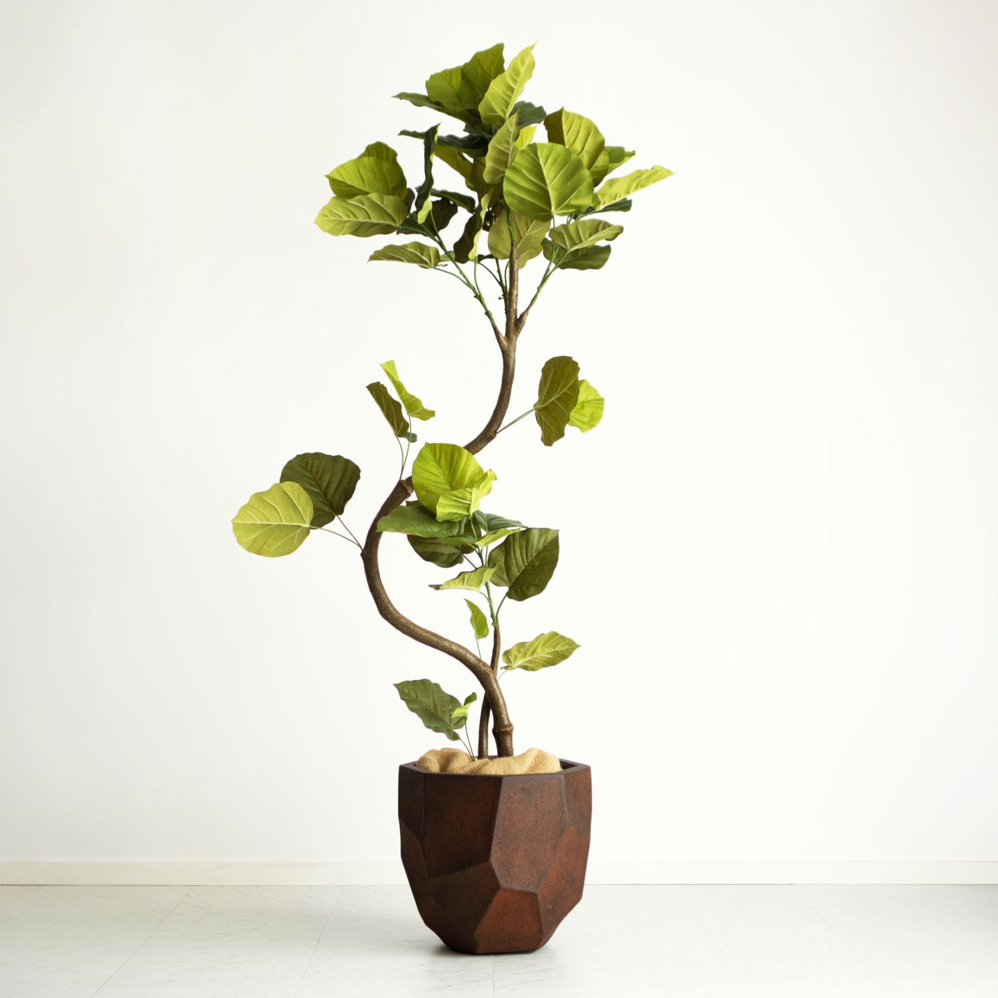 光触媒　人工観葉植物　ウォールグリーン　フェイクグリーン　スパイラルウンベラータ ウンベラータ・スパイラル H150cm｜フェイクグリーンならデコレラ公式通販