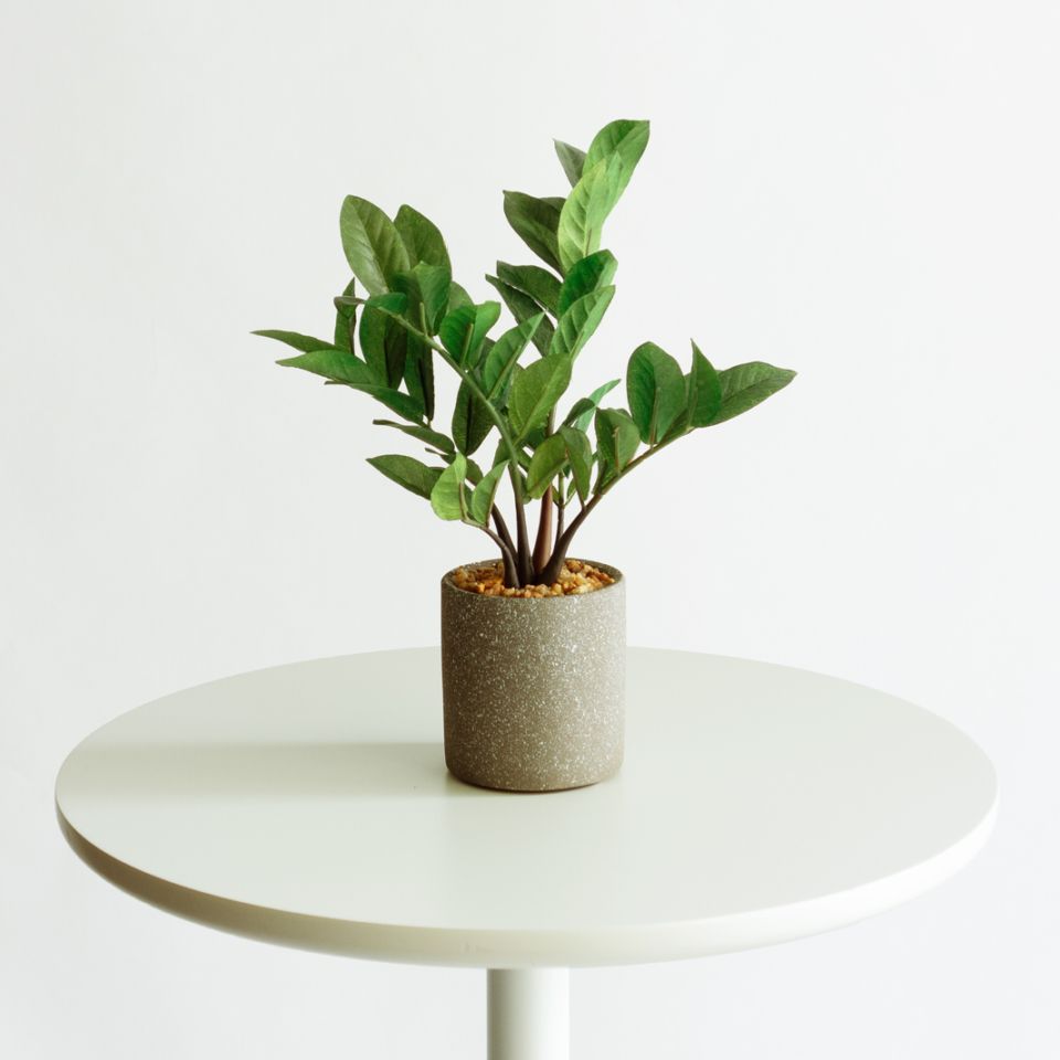 大きさで選ぶ 一覧｜デコレラ公式通販