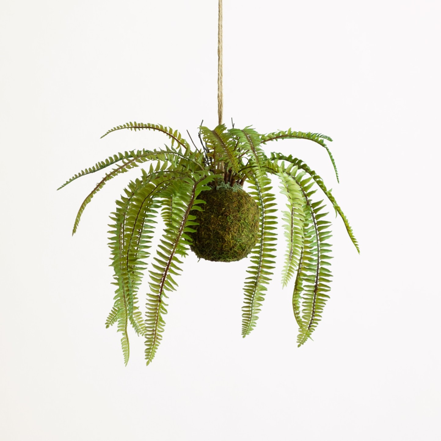 kirakira⭐︎　睡蓮鉢白　傘立て鯉　2個セット　お買い得 折りたたみ傘 kowaza 晴雨兼用 遮光 遮熱 プレーン ホワイト