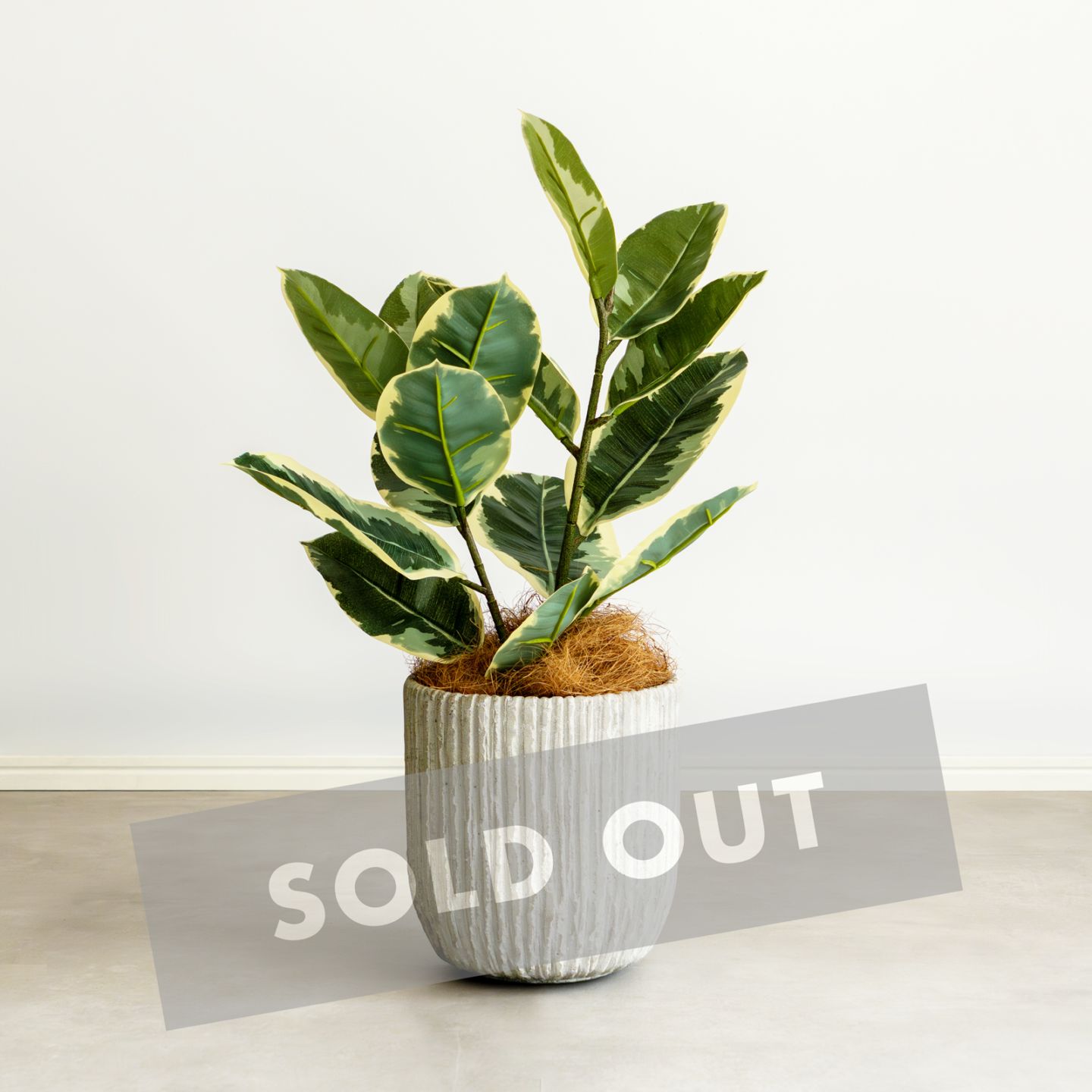 大きさで選ぶ 一覧｜デコレラ公式通販