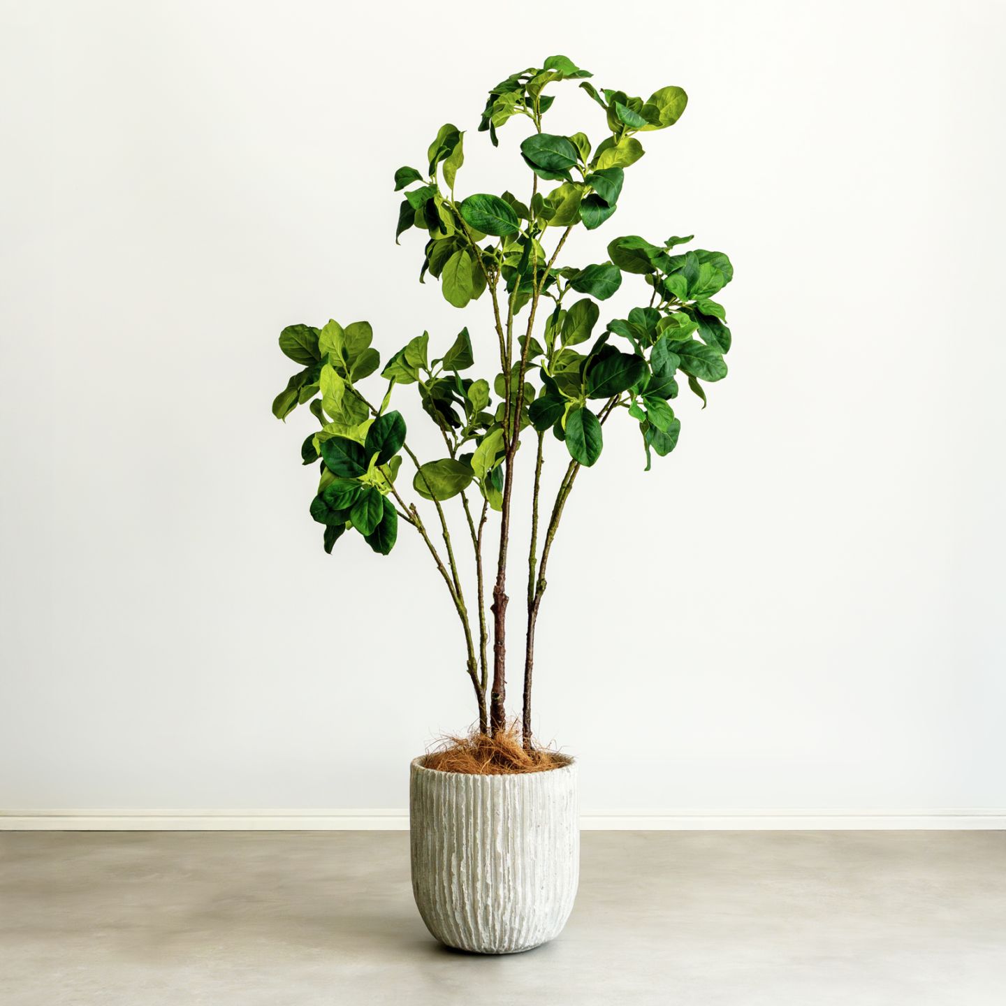 マグノリア H100cm（ポット付き）｜フェイクグリーンならデコレラ公式通販