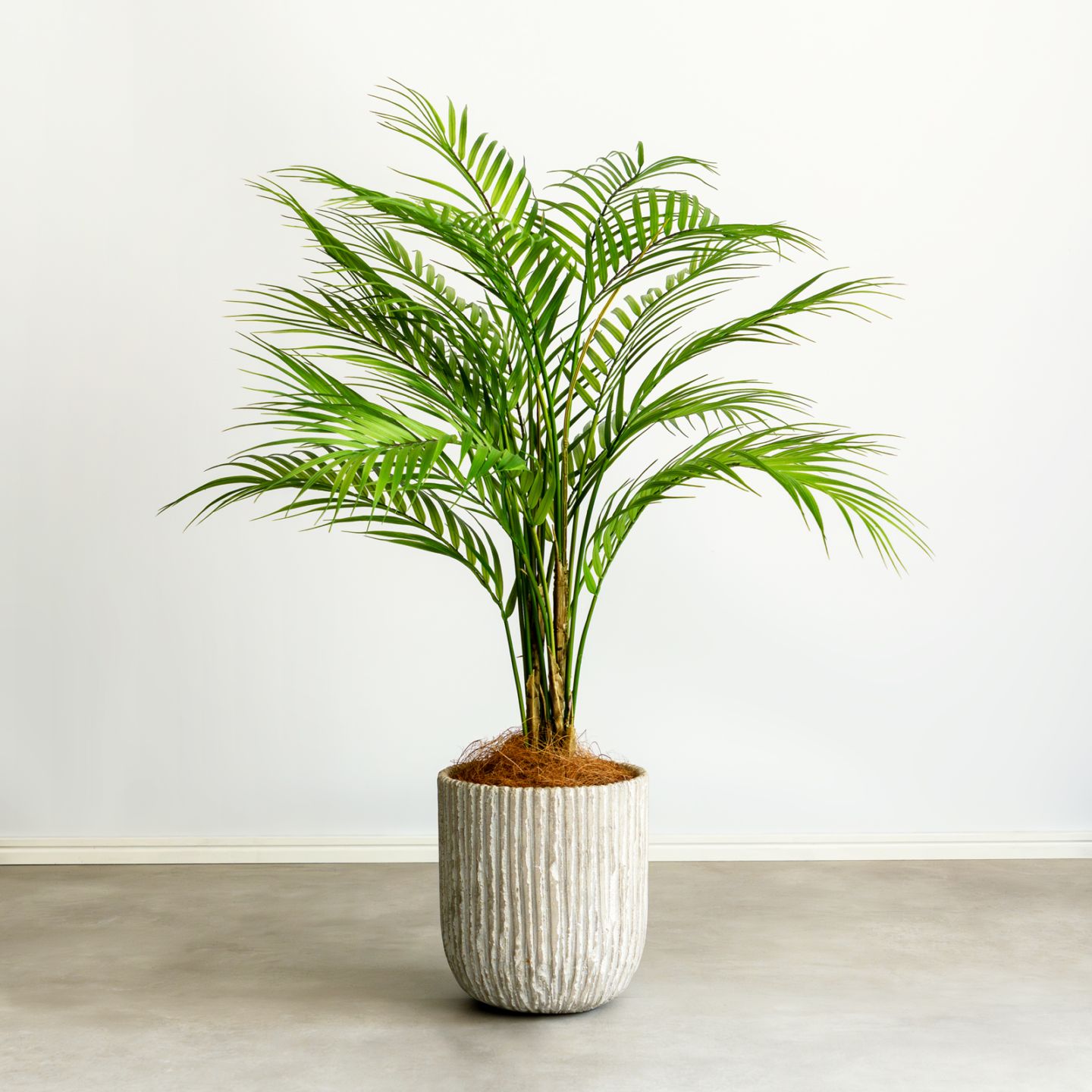 アレカヤシ H80cm（ポット付き）｜フェイクグリーンならデコレラ公式通販