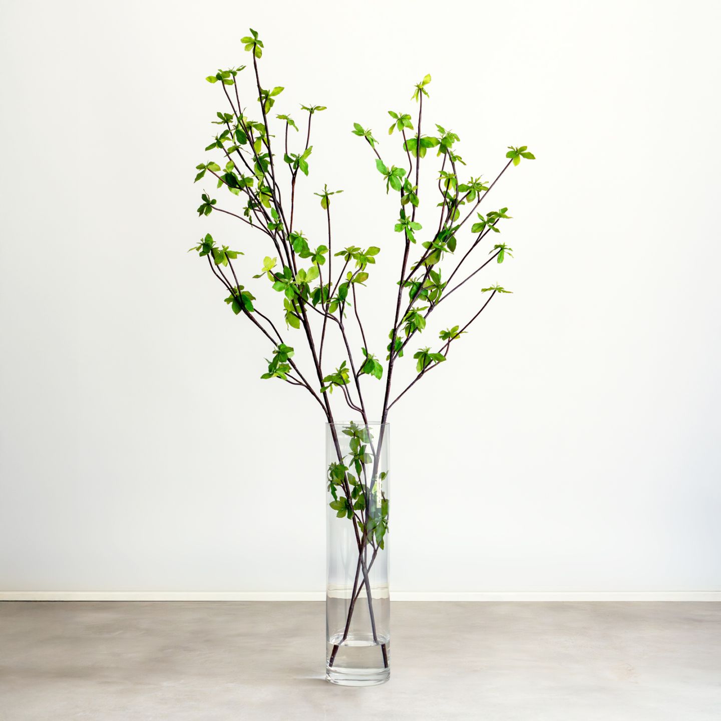 すべての商品 一覧｜デコレラ公式通販