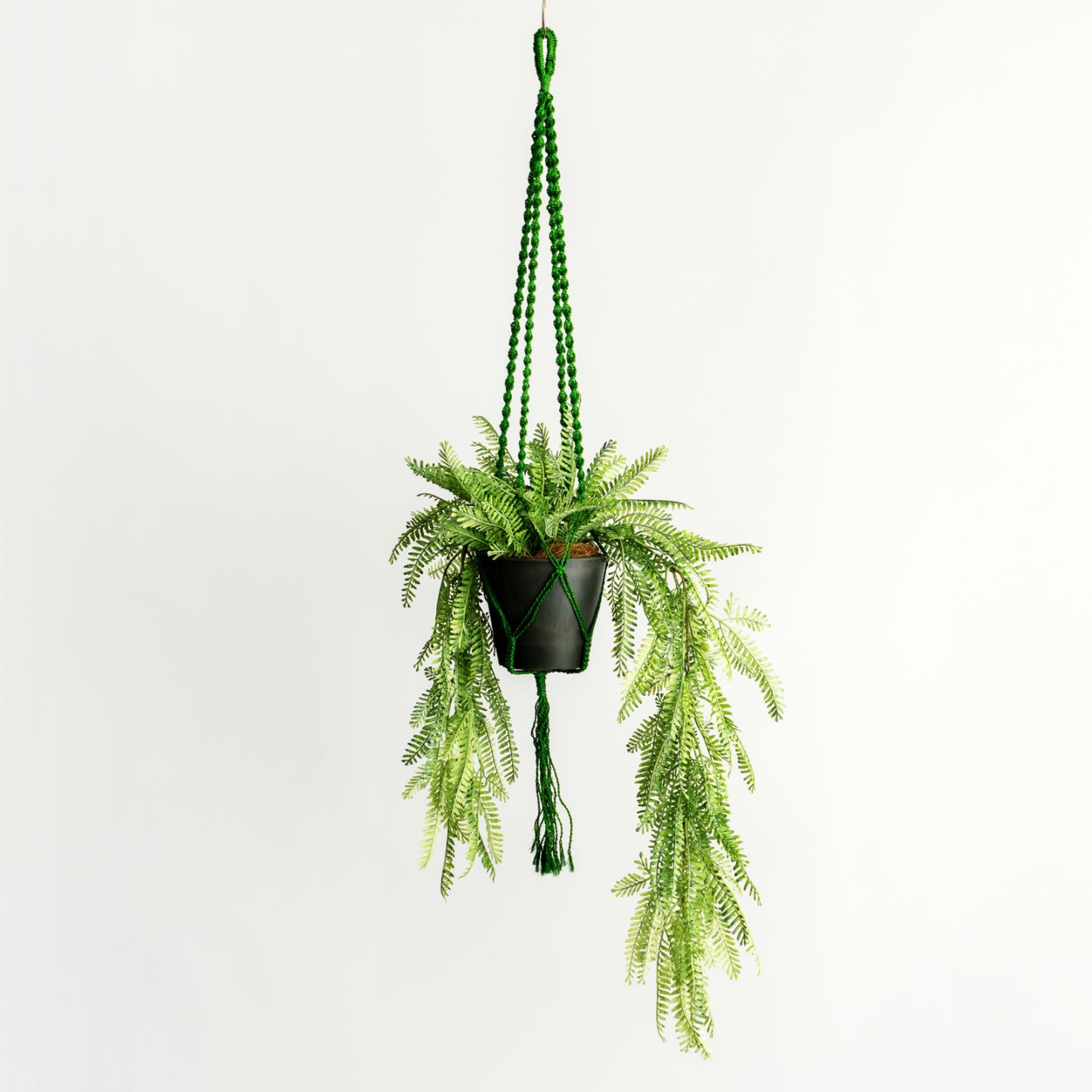 レザーファンポット マクラメハンギング（プラントハンガー付き