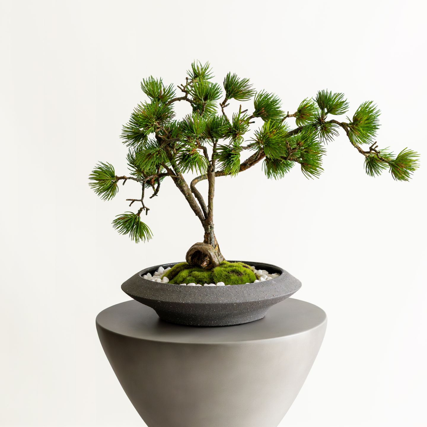 価格で選ぶ 一覧｜デコレラ公式通販