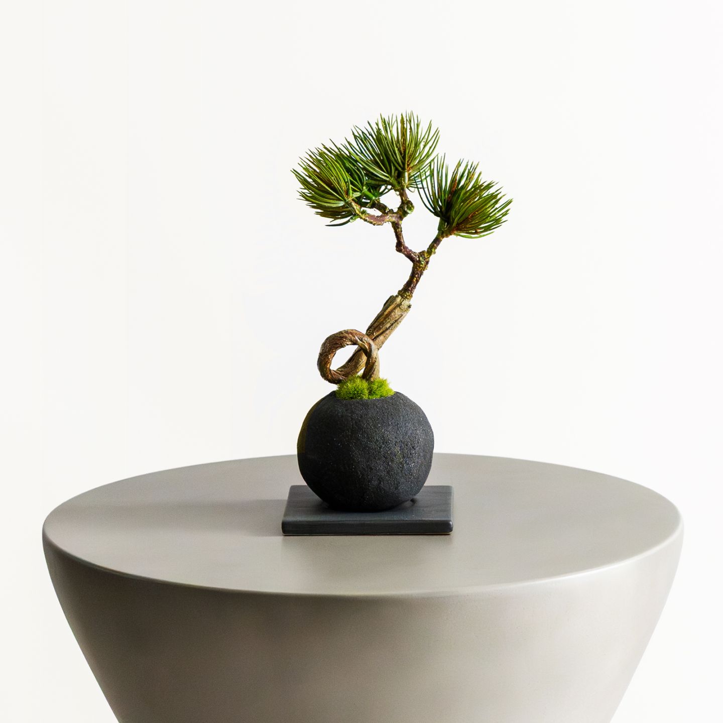 盆栽 一覧｜デコレラ公式通販