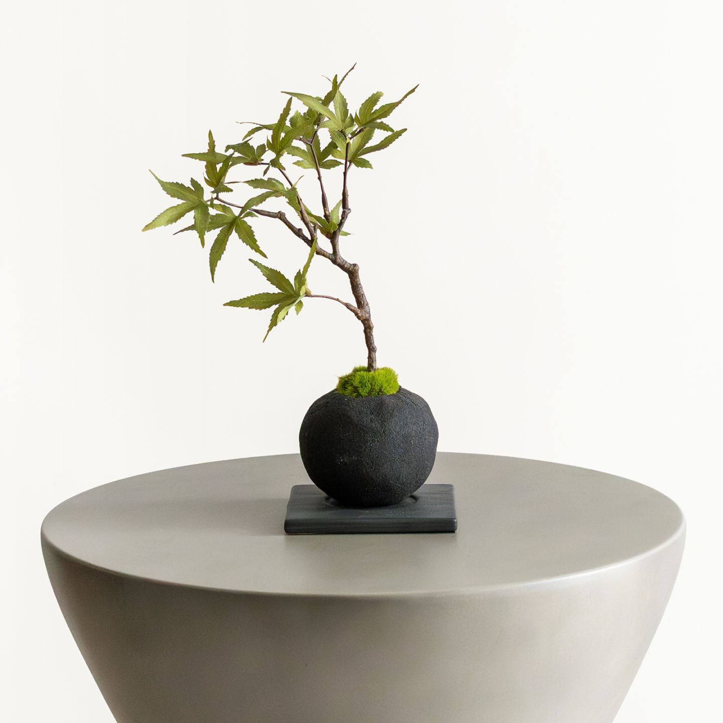 価格で選ぶ 一覧｜デコレラ公式通販