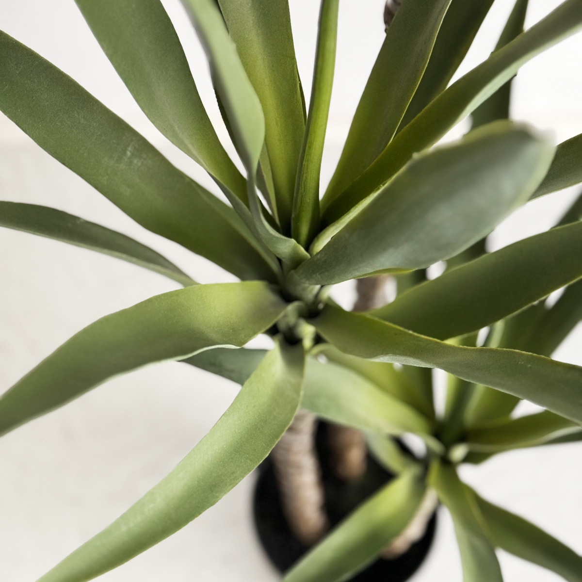 ユッカ・エレファンティペス H150cm｜フェイクグリーンなら