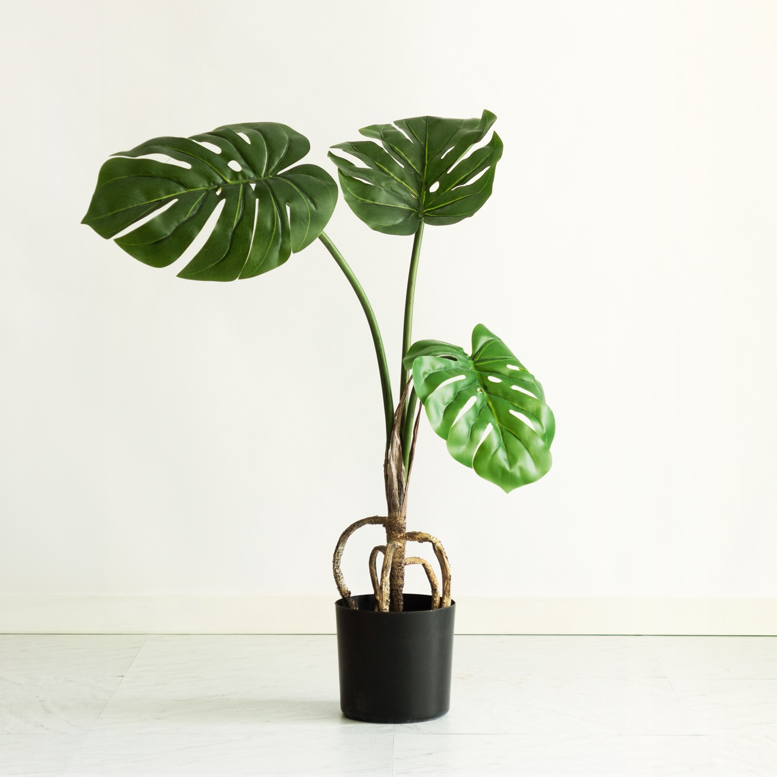 6_000000000016.jpg?1718525121