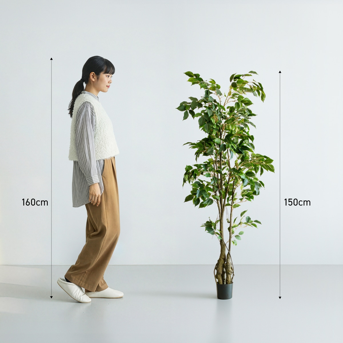 フィカスツリー H150cm｜フェイクグリーンならデコレラ公式通販